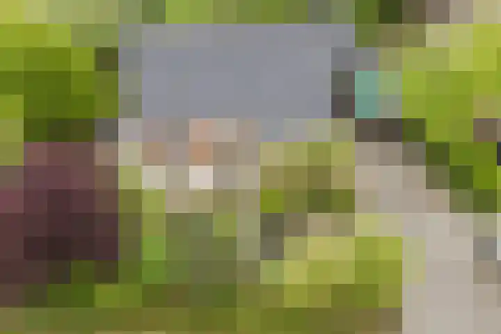 't Woudt 13 Schipluiden thumbnail 8