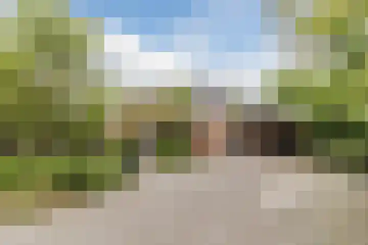 't Woudt 13 Schipluiden thumbnail 9