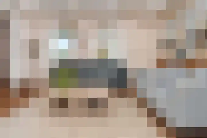 't Woudt 19 Schipluiden thumbnail 12