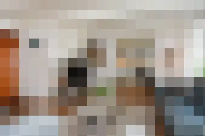 't Woudt 19 Schipluiden thumbnail 14