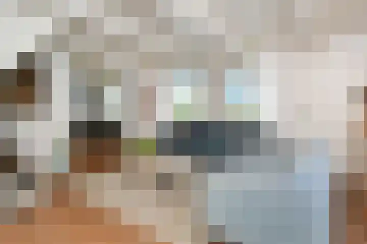 't Woudt 19 Schipluiden thumbnail 15