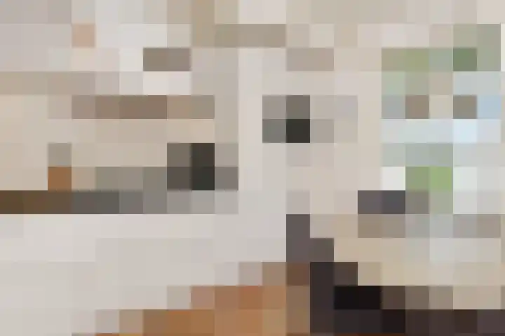 't Woudt 19 Schipluiden thumbnail 17