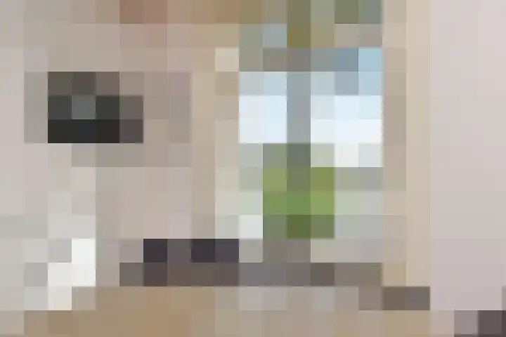 't Woudt 19 Schipluiden thumbnail 18