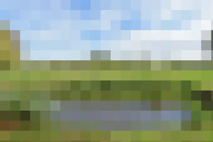 't Woudt 19 Schipluiden thumbnail 19