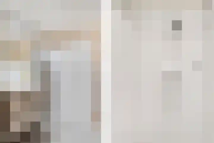 't Woudt 19 Schipluiden thumbnail 22
