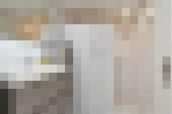 't Woudt 19 Schipluiden thumbnail 23