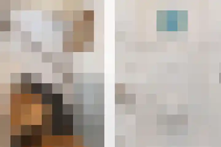 't Woudt 19 Schipluiden thumbnail 24