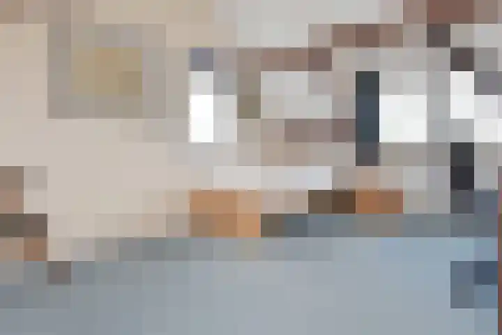 't Woudt 19 Schipluiden thumbnail 27