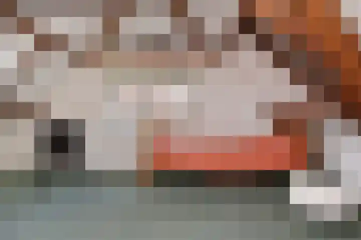 't Woudt 19 Schipluiden thumbnail 30