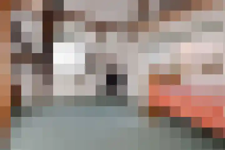 't Woudt 19 Schipluiden thumbnail 31