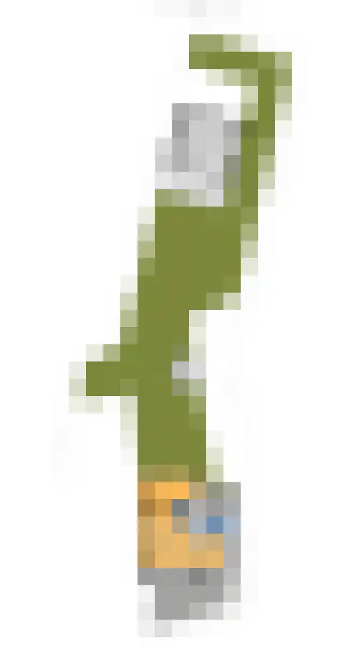 't Woudt 19 Schipluiden thumbnail 32