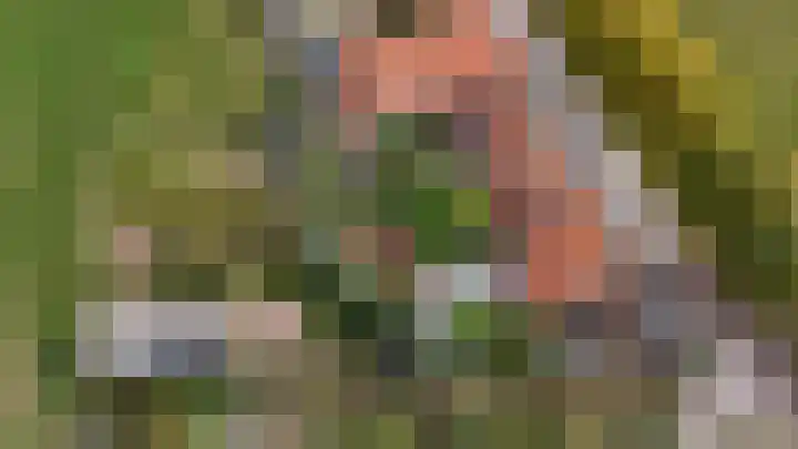 't Woudt 19 Schipluiden thumbnail 33