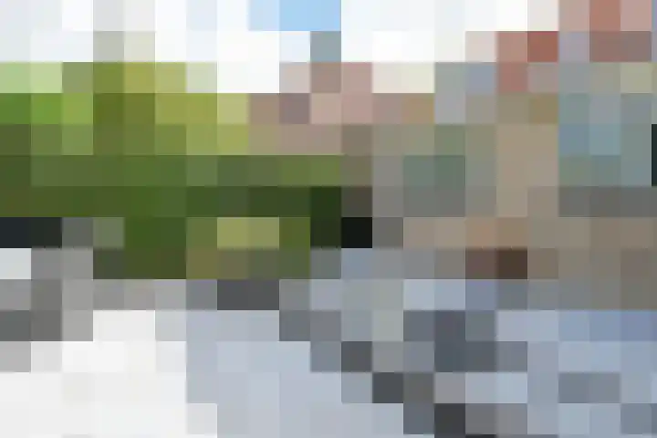 't Woudt 19 Schipluiden thumbnail 34