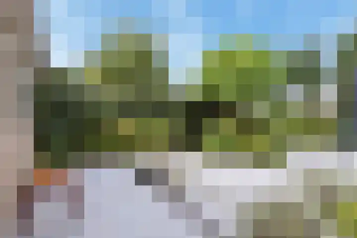 't Woudt 19 Schipluiden thumbnail 35