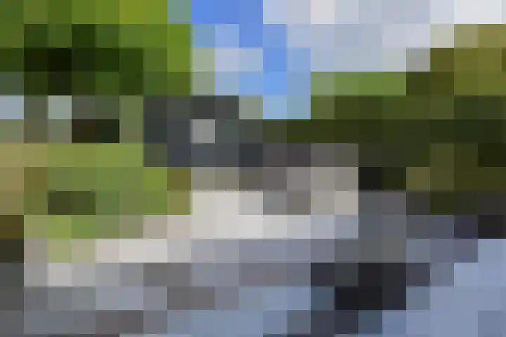 't Woudt 19 Schipluiden thumbnail 36