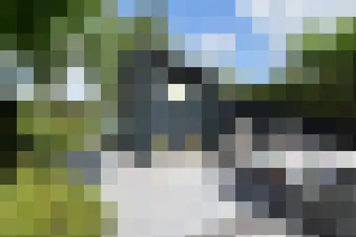 't Woudt 19 Schipluiden thumbnail 37