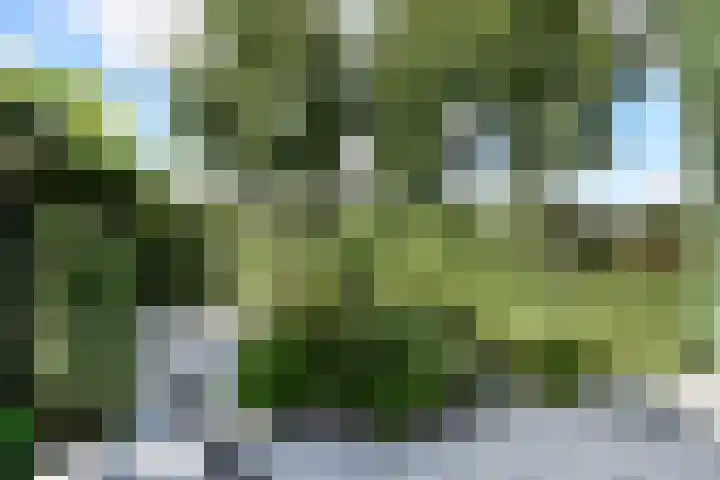 't Woudt 19 Schipluiden thumbnail 38