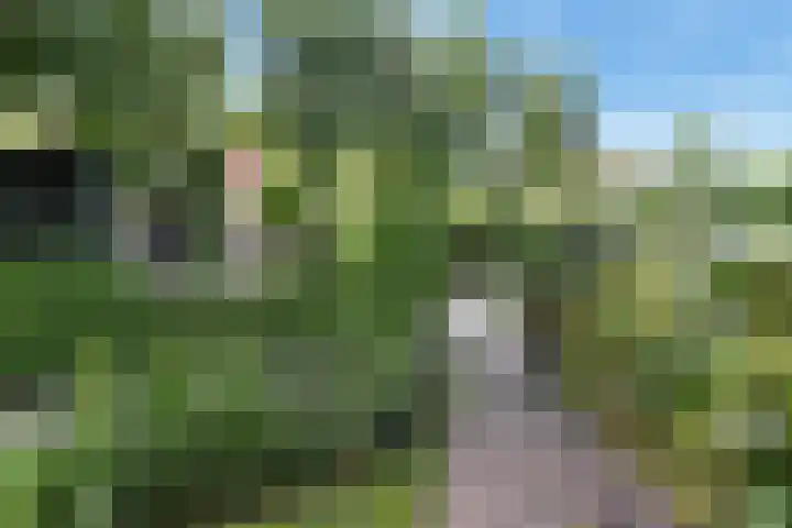 't Woudt 19 Schipluiden thumbnail 39