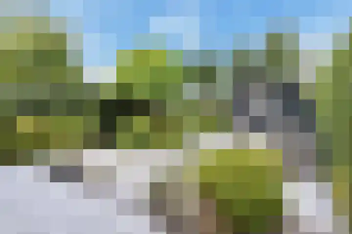 't Woudt 19 Schipluiden thumbnail 4