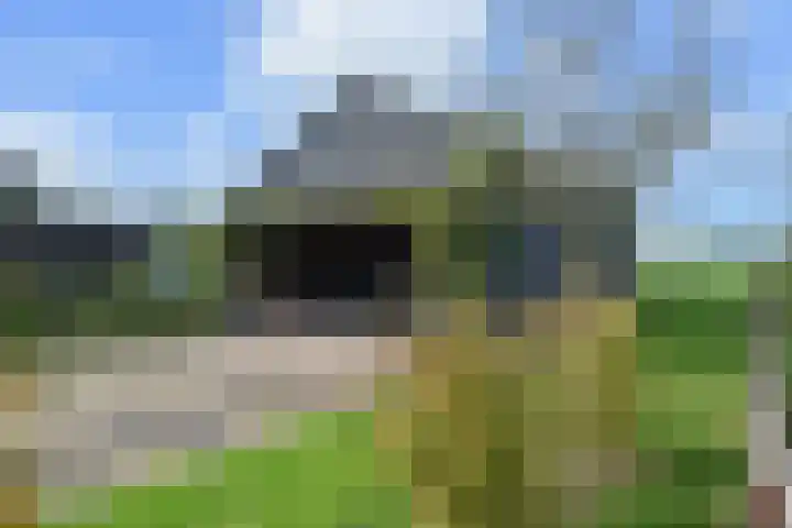 't Woudt 19 Schipluiden thumbnail 42