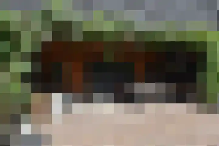 't Woudt 19 Schipluiden thumbnail 43