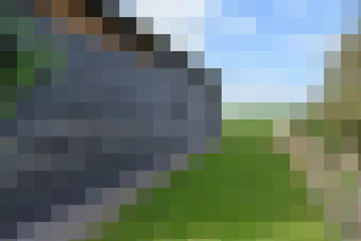't Woudt 19 Schipluiden thumbnail 45