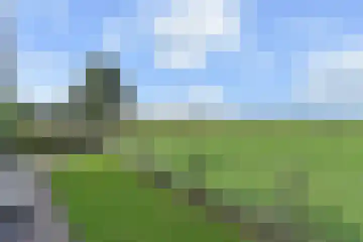 't Woudt 19 Schipluiden thumbnail 46
