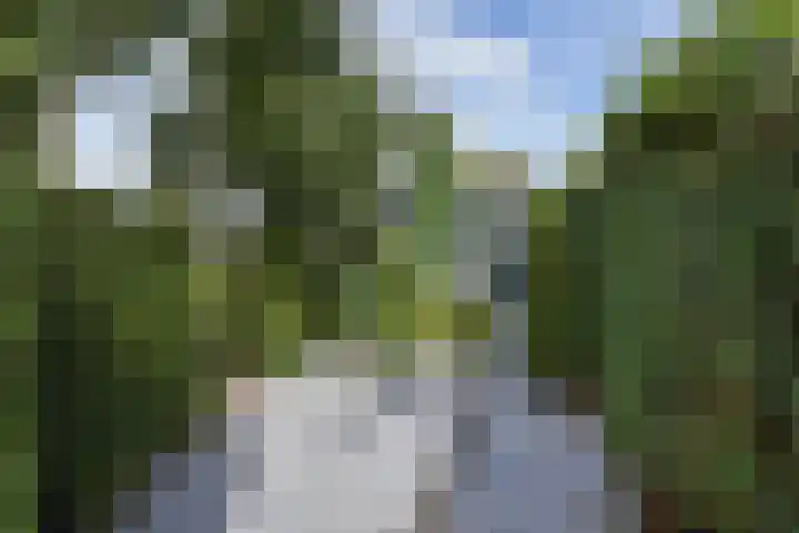't Woudt 19 Schipluiden thumbnail 47