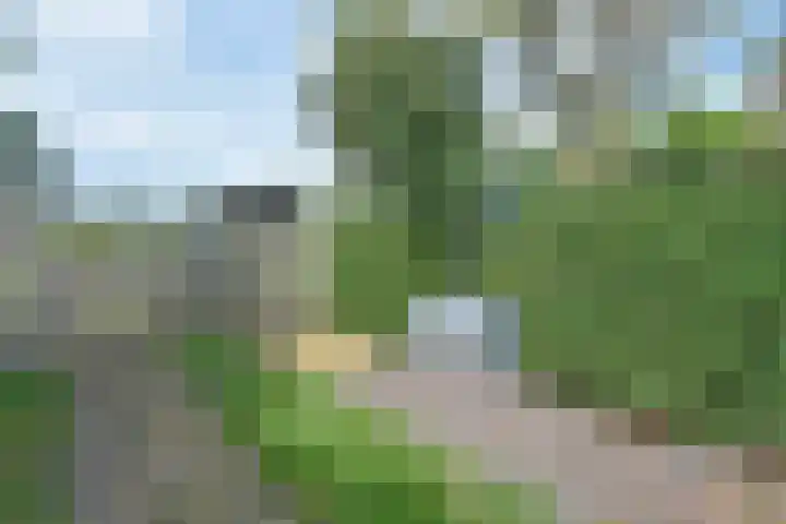 't Woudt 19 Schipluiden thumbnail 48