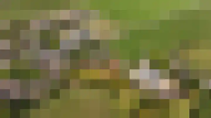 't Woudt 19 Schipluiden thumbnail 49