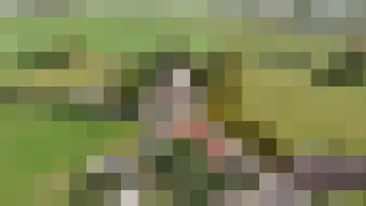 't Woudt 19 Schipluiden thumbnail 5