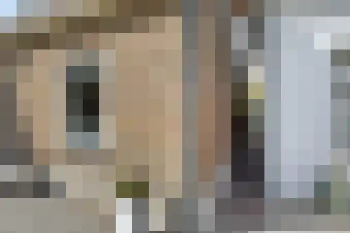 't Woudt 19 Schipluiden thumbnail 52