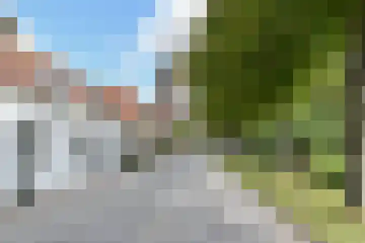 't Woudt 19 Schipluiden thumbnail 53