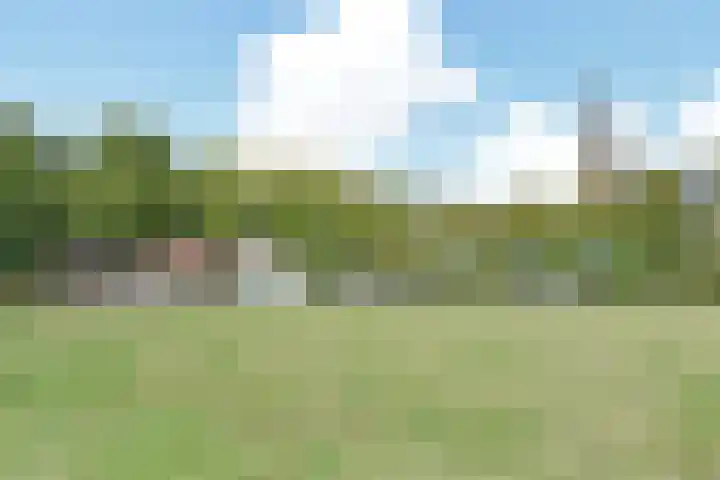 't Woudt 19 Schipluiden thumbnail 54