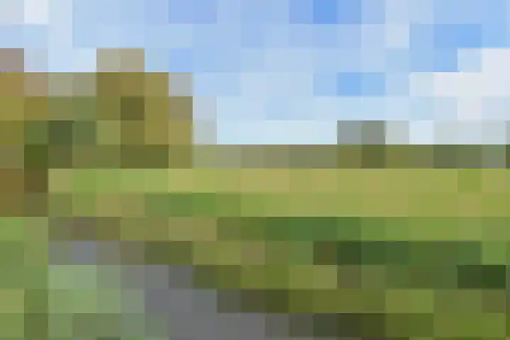 't Woudt 19 Schipluiden thumbnail 56