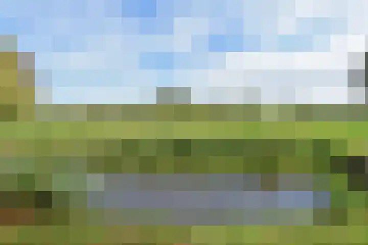 't Woudt 19 Schipluiden thumbnail 57