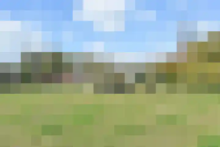 't Woudt 19 Schipluiden thumbnail 58