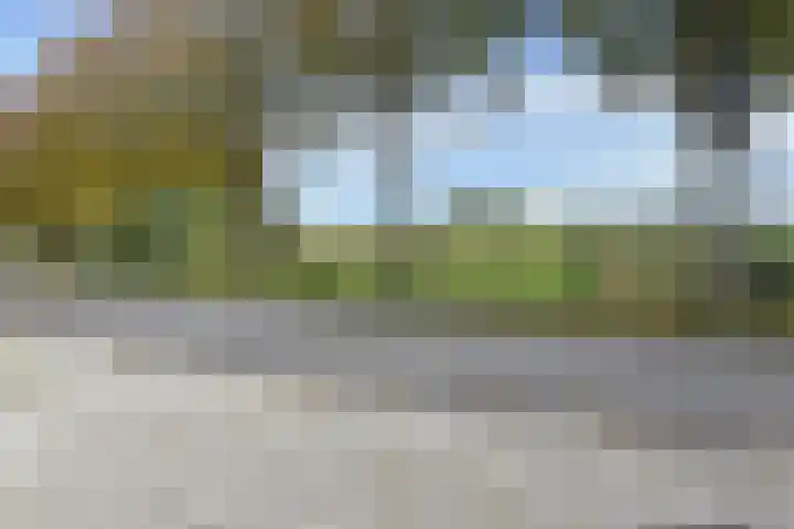 't Woudt 19 Schipluiden thumbnail 59