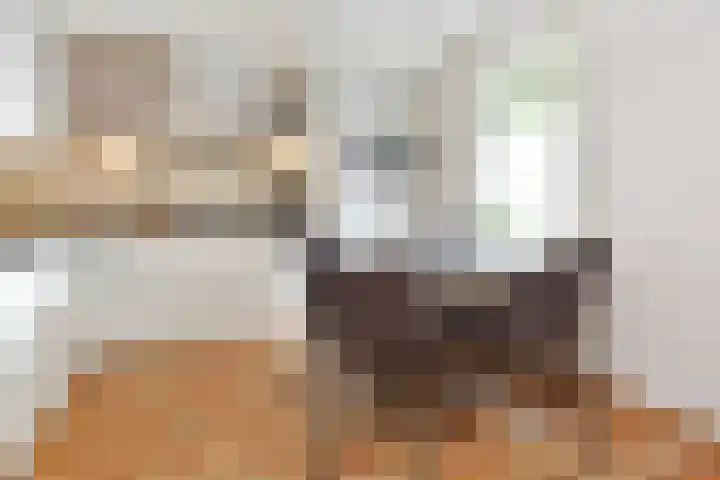 't Woudt 19 Schipluiden thumbnail 6