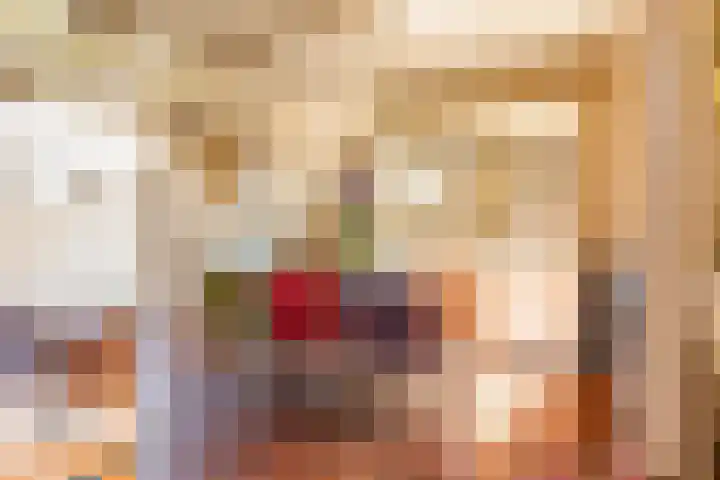 't Woudt 21 Schipluiden thumbnail 10