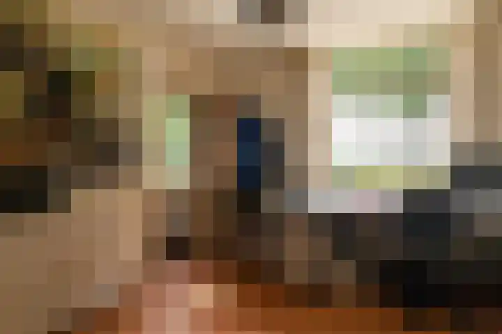 't Woudt 21 Schipluiden thumbnail 13