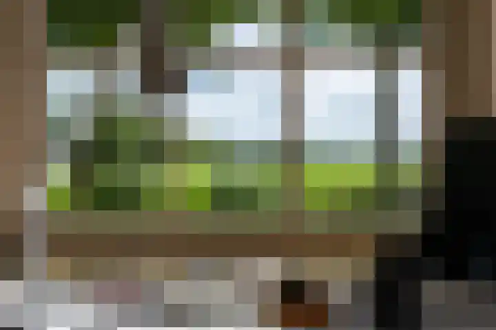 't Woudt 21 Schipluiden thumbnail 14