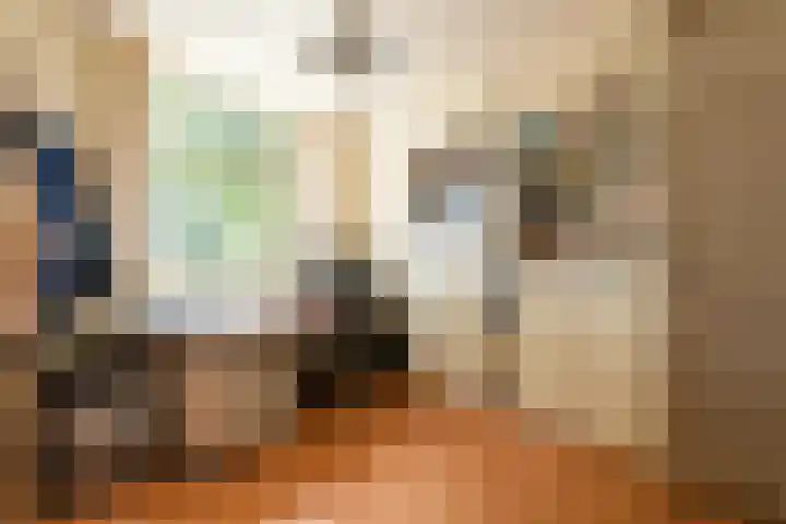 't Woudt 21 Schipluiden thumbnail 15