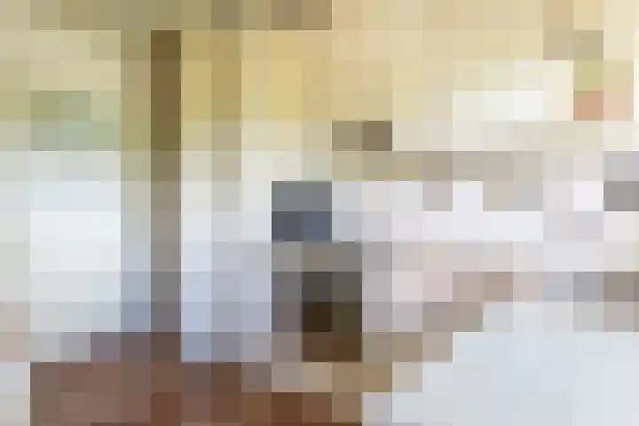 't Woudt 21 Schipluiden thumbnail 18