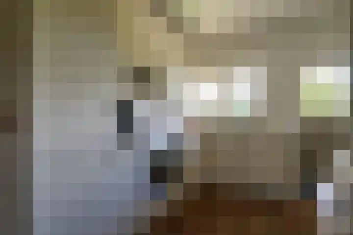 't Woudt 21 Schipluiden thumbnail 19
