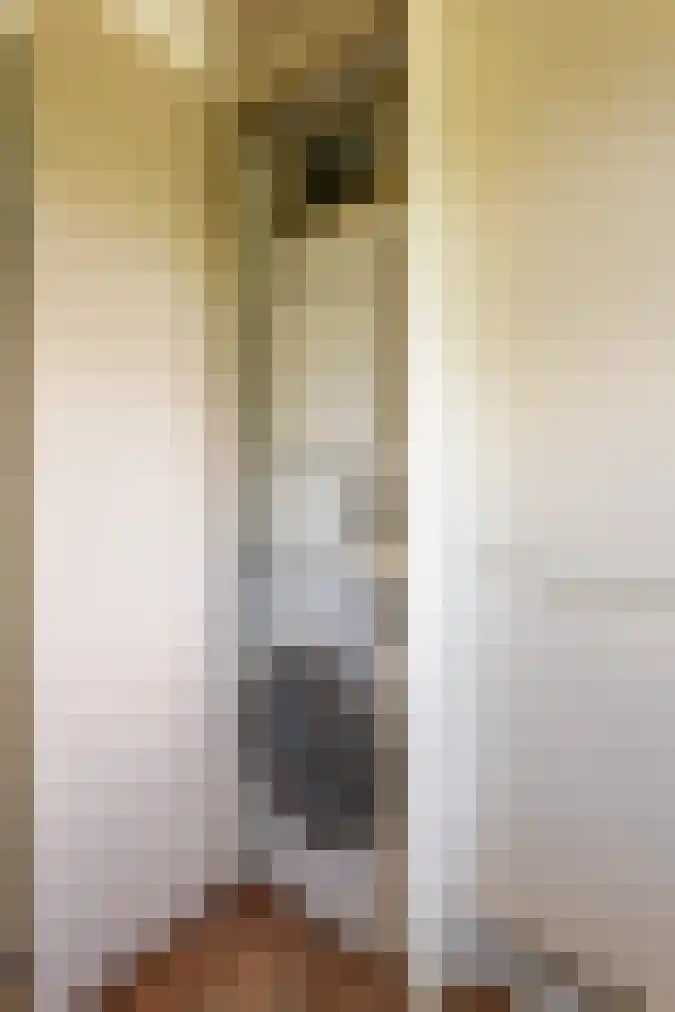 't Woudt 21 Schipluiden thumbnail 21
