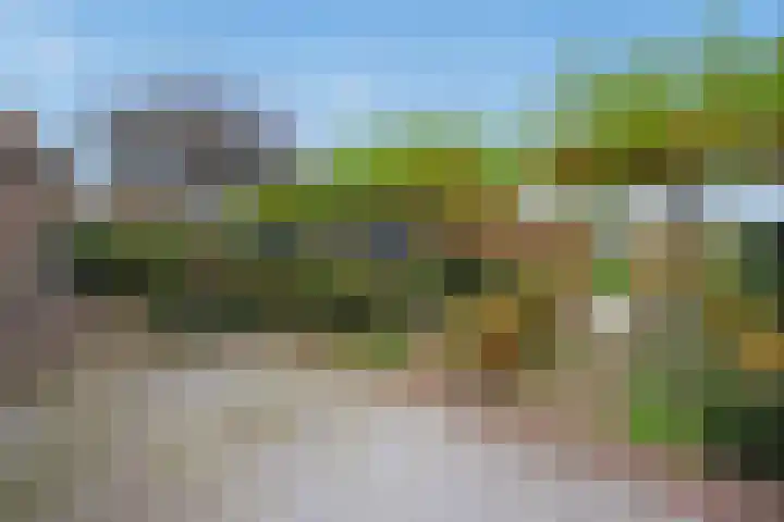 't Woudt 21 Schipluiden thumbnail 23