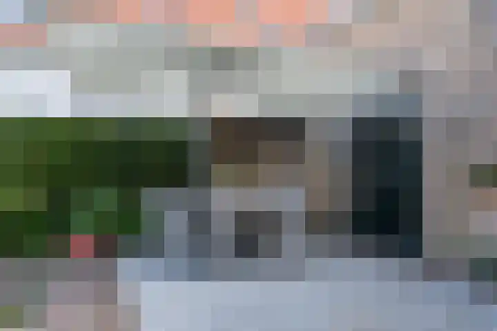 't Woudt 21 Schipluiden thumbnail 24