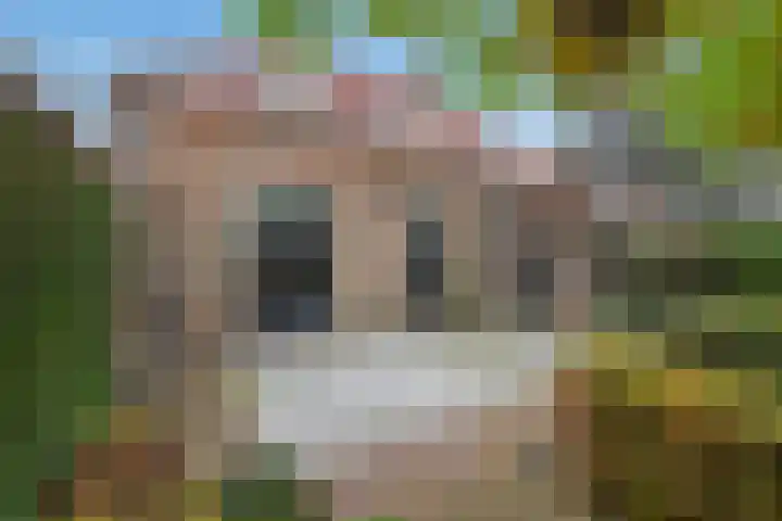 't Woudt 21 Schipluiden thumbnail 25