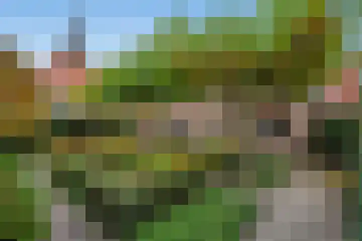 't Woudt 21 Schipluiden thumbnail 26